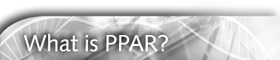 What is PPAR?